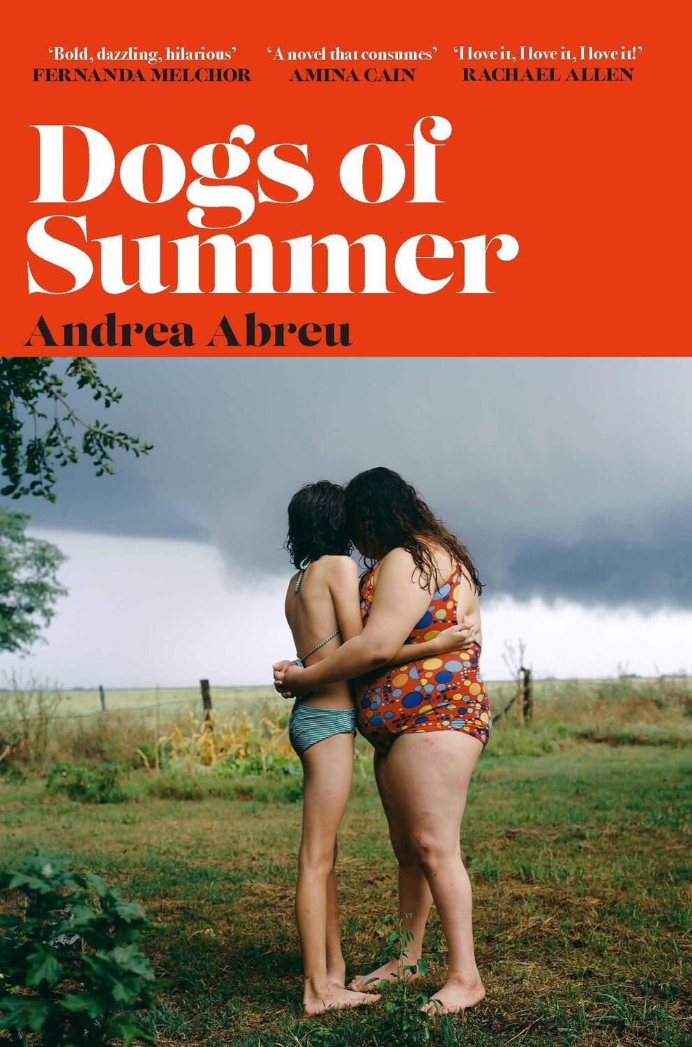 Cover: 9781474624084 | Dogs of Summer | Andrea Abreu | Taschenbuch | Kartoniert / Broschiert