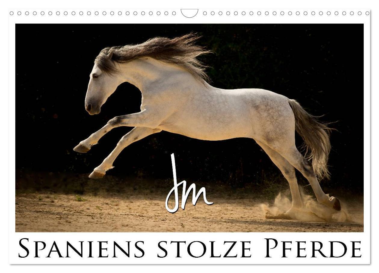 Cover: 9783435637904 | Spaniens stolze Pferde (Wandkalender 2025 DIN A3 quer), CALVENDO...