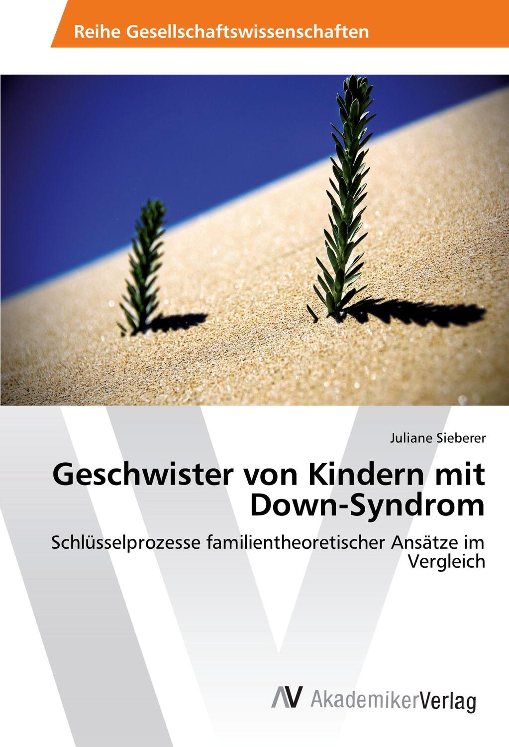 Cover: 9783639876000 | Geschwister von Kindern mit Down-Syndrom | Juliane Sieberer | Buch