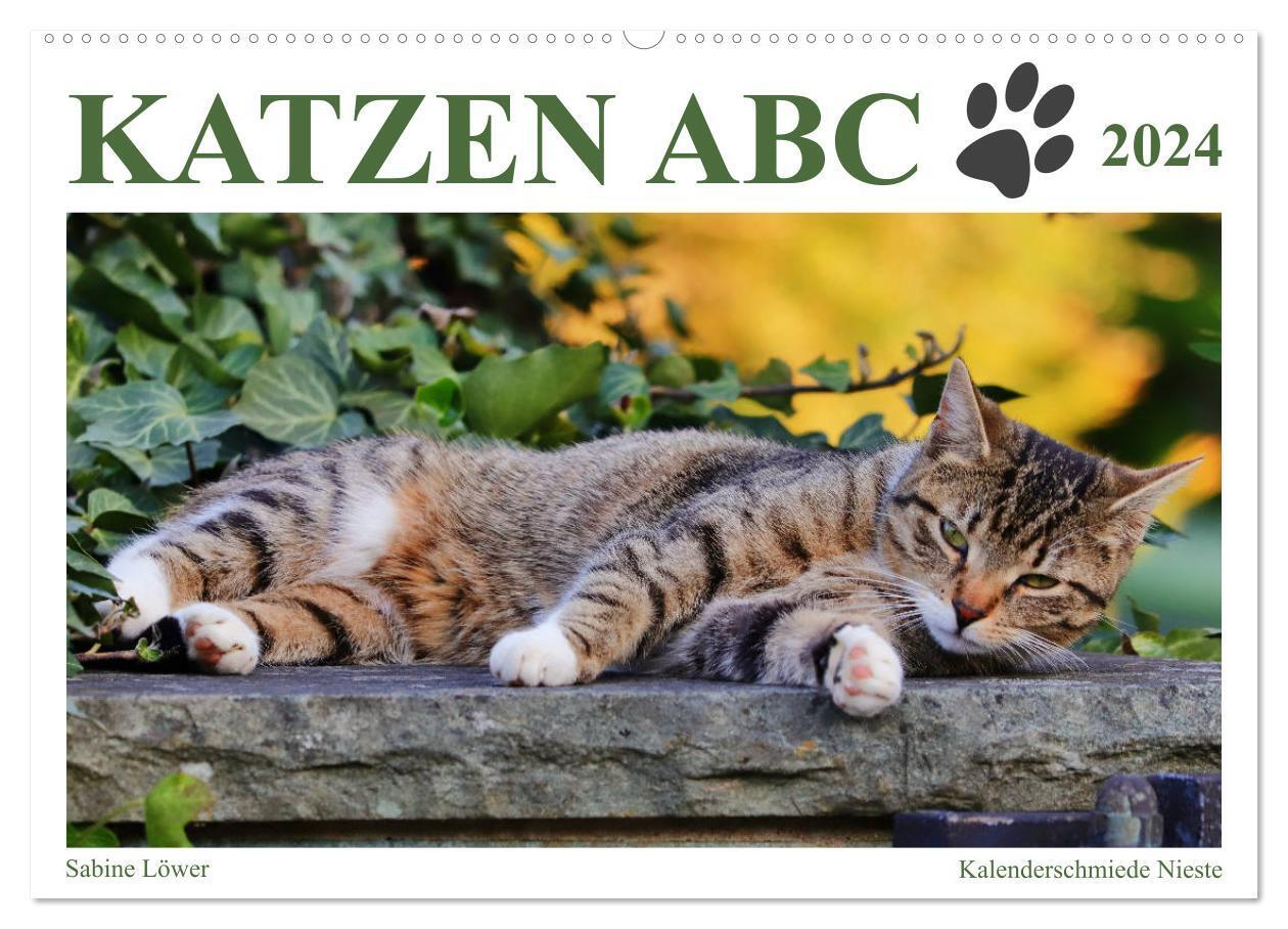 Cover: 9783383013638 | Katzen ABC (Wandkalender 2024 DIN A2 quer), CALVENDO Monatskalender