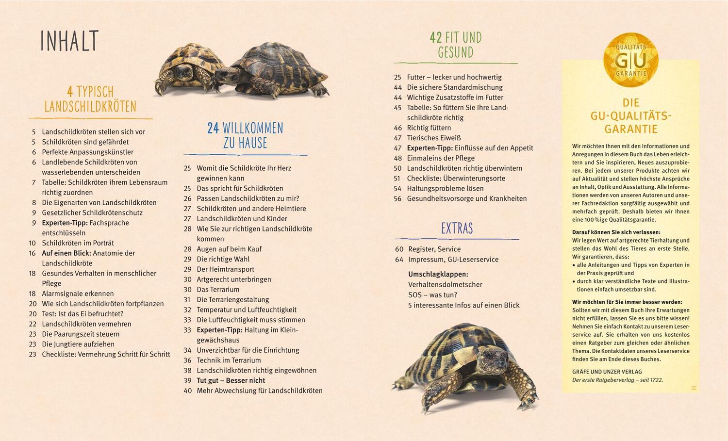 Bild: 9783833841484 | Landschildkröten | Fit und gesund durchs Leben | Hartmut Wilke | Buch