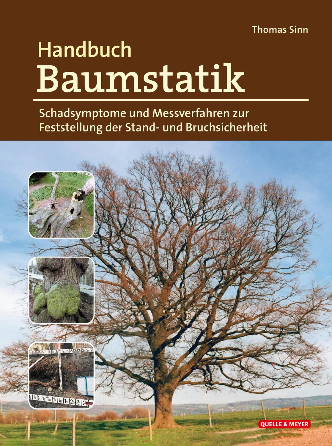 Cover: 9783494019222 | Handbuch Baumstatik | Thomas Sinn | Buch | Deutsch | 2022