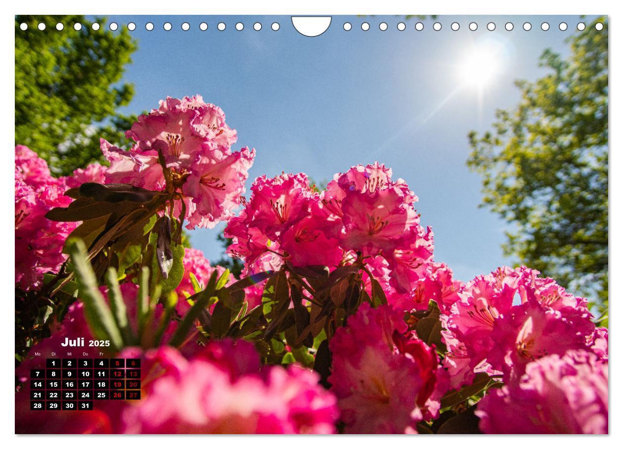 Bild: 9783435000845 | Bremen Fotokalender 2025 (Wandkalender 2025 DIN A4 quer), CALVENDO...