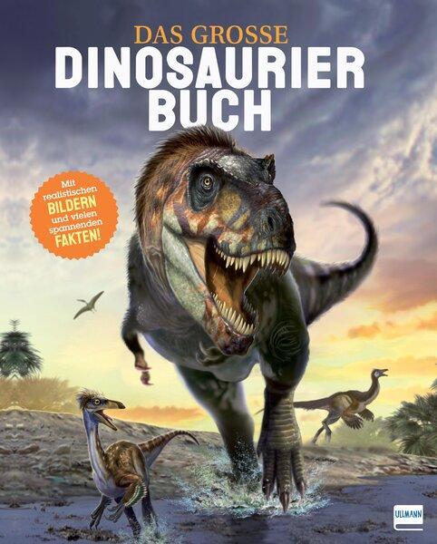 Cover: 9783741527241 | Das große Dinosaurierbuch | Claudia Martin | Buch | 128 S. | Deutsch