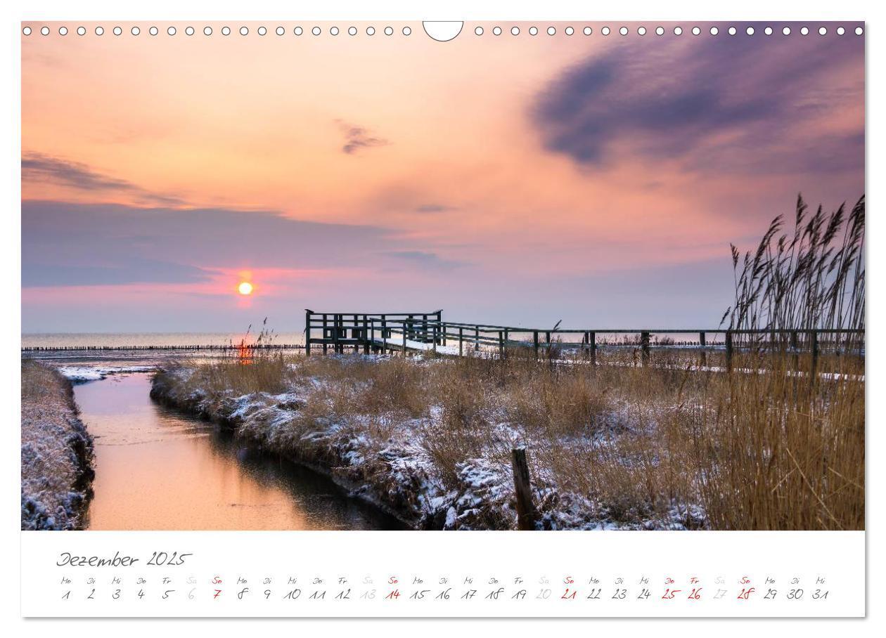 Bild: 9783435601318 | Amrum - Eine farbenfrohe Insellandschaft (Wandkalender 2025 DIN A3...