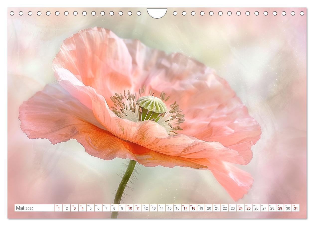 Bild: 9783383814549 | Bezaubernde Mohnblumen (Wandkalender 2025 DIN A4 quer), CALVENDO...