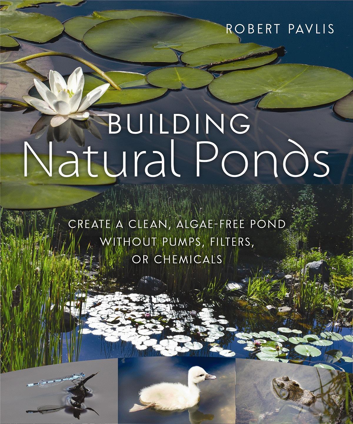 Cover: 9780865718456 | Building Natural Ponds | Robert Pavlis | Taschenbuch | Englisch | 2017