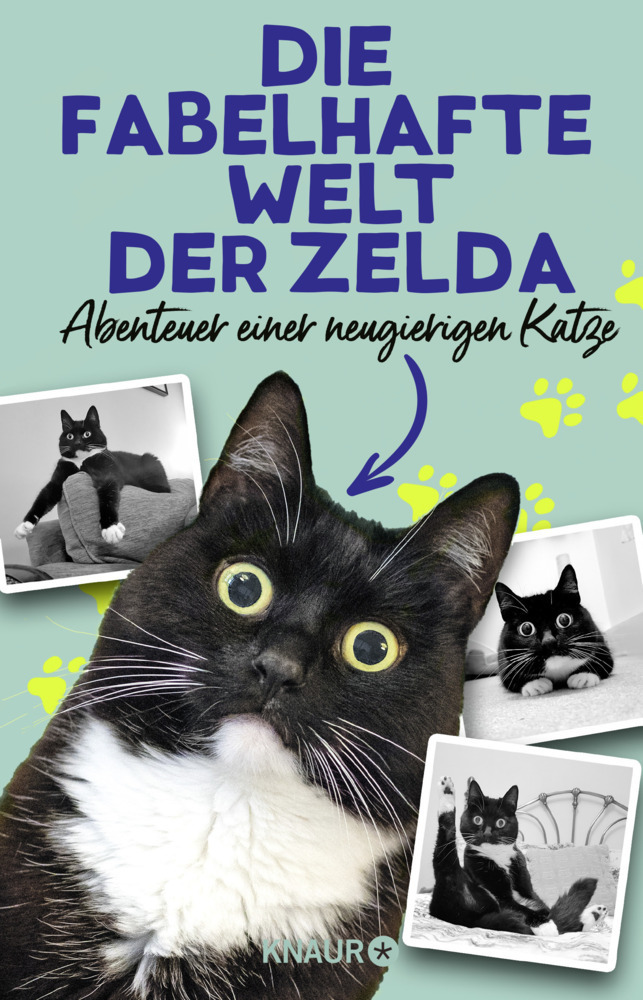 Cover: 9783426214831 | Die fabelhafte Welt der Zelda | Abenteuer einer neugierigen Katze