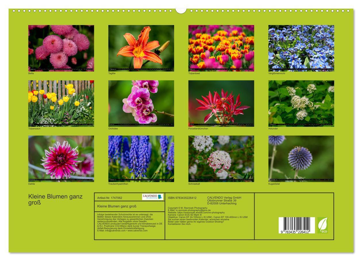 Bild: 9783435226412 | Kleine Blumen ganz groß (hochwertiger Premium Wandkalender 2025 DIN...