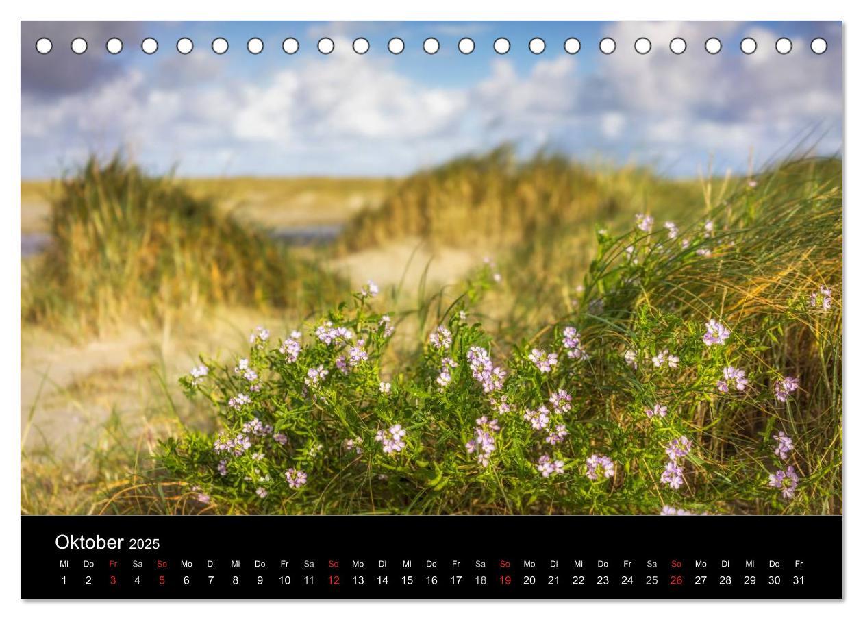 Bild: 9783435557110 | Fanø - Meine Insel (Tischkalender 2025 DIN A5 quer), CALVENDO...