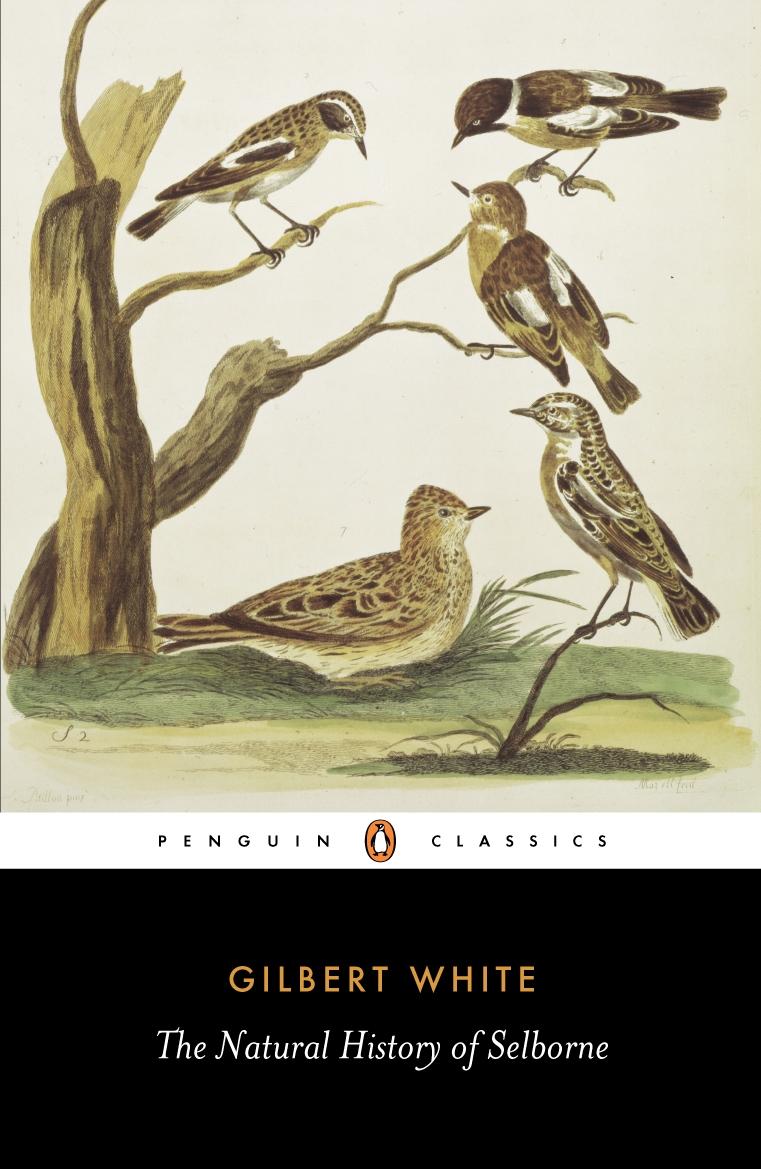 Cover: 9780140431124 | The Natural History of Selborne | Gilbert White | Taschenbuch | 1977