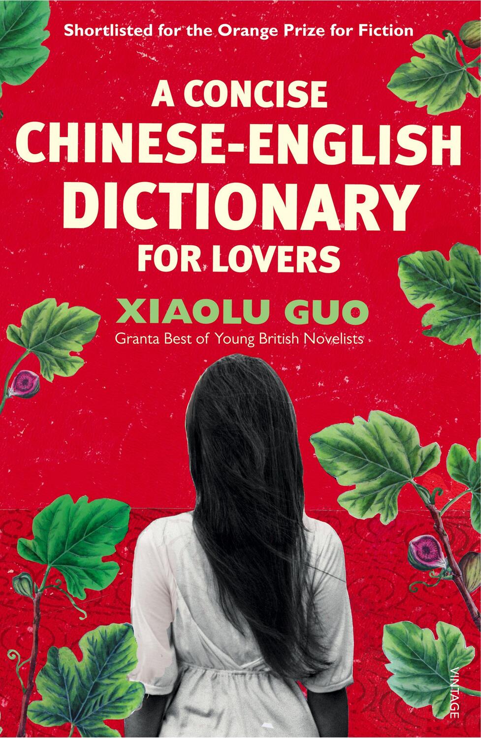 Cover: 9780099501473 | A Concise Chinese-English Dictionary for Lovers | Xiaolu Guo | Buch