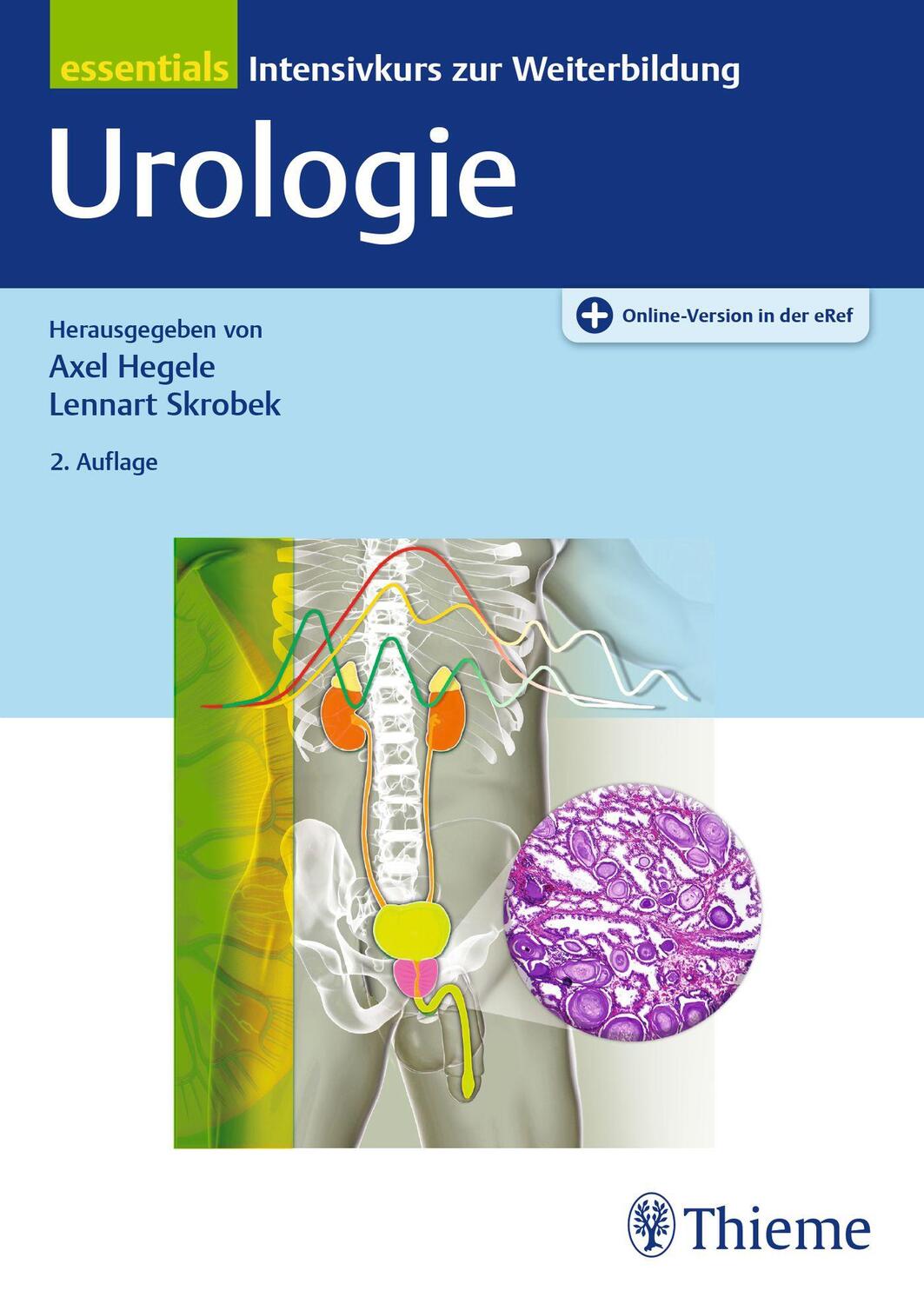 Cover: 9783132413184 | Urologie essentials | Intensivkurs zur Weiterbildung | Hegele (u. a.)