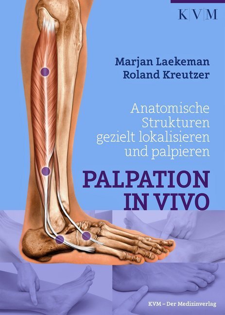 Cover: 9783868673302 | Palpation in Vivo | Marjan/Kreutzer, Roland/Jungiger, Bärbel Laekeman