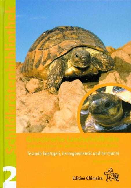 Cover: 9783899735024 | Griechische Landschildkröte | Holger Vetter | Buch | Chimaira