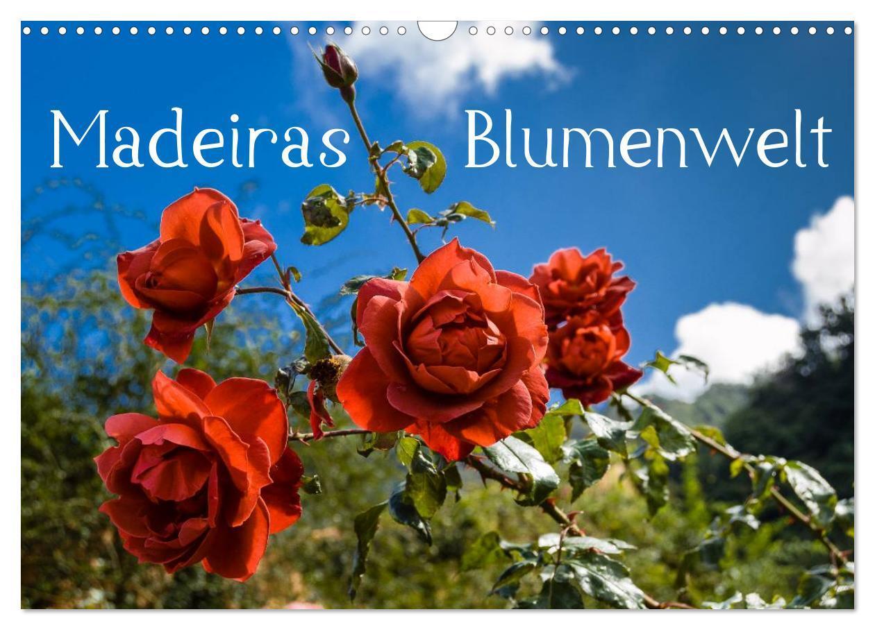 Cover: 9783383604560 | Madeiras Blumenwelt (Wandkalender 2024 DIN A3 quer), CALVENDO...