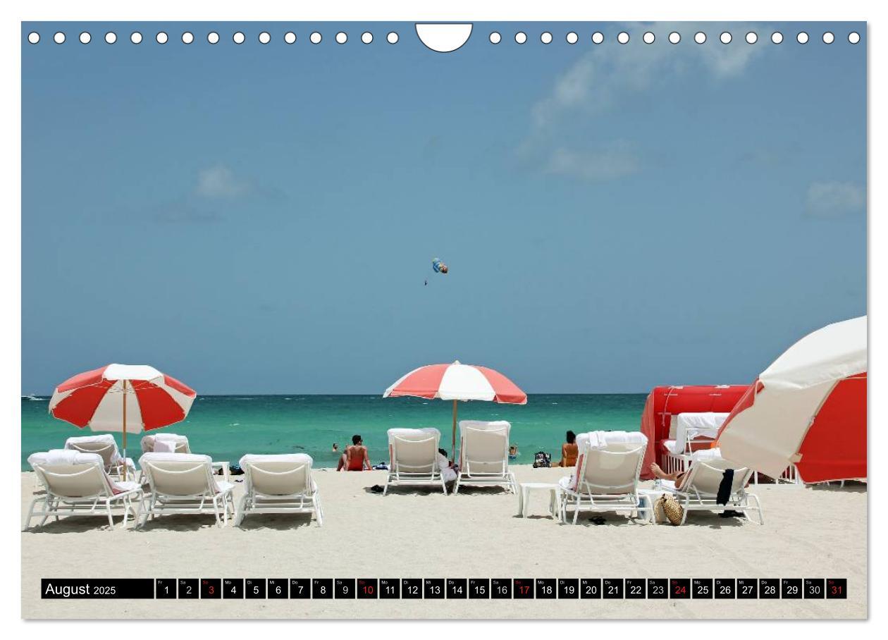 Bild: 9783435837533 | MIAMI (Wandkalender 2025 DIN A4 quer), CALVENDO Monatskalender | Damm