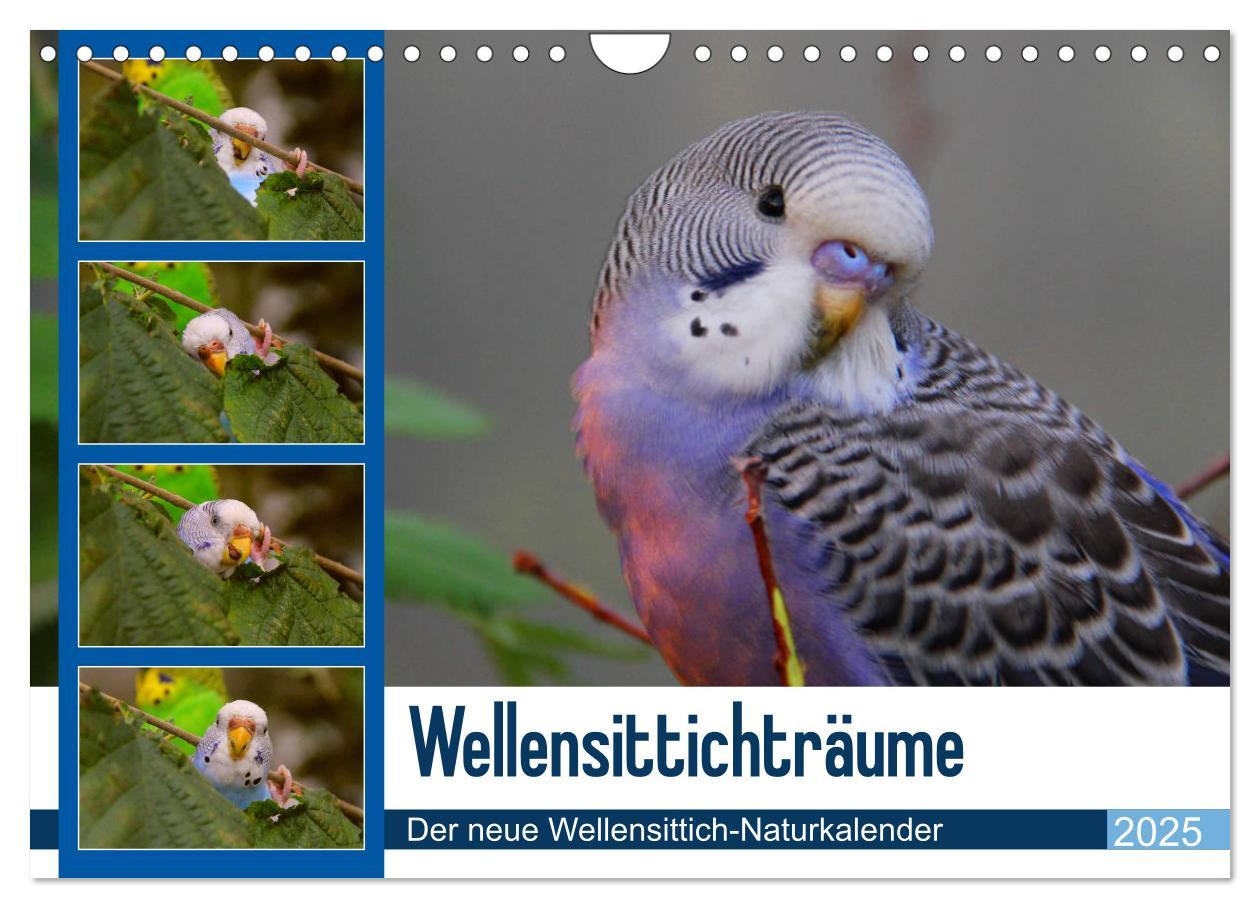 Cover: 9783435447589 | Wellensittichträume - Der neue Wellensittich-Naturkalender...