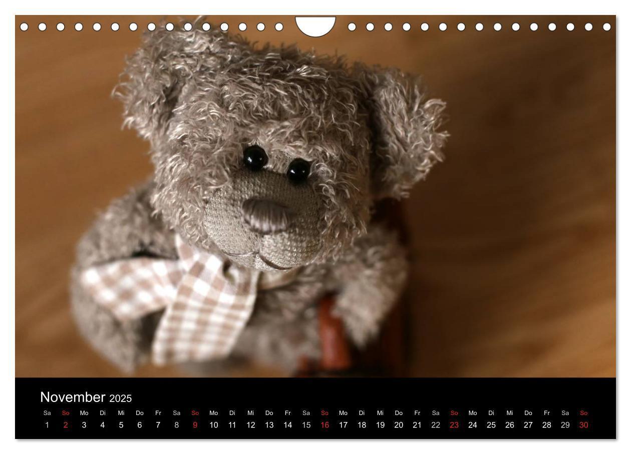 Bild: 9783435696109 | Herr Nopf ist da! (Wandkalender 2025 DIN A4 quer), CALVENDO...