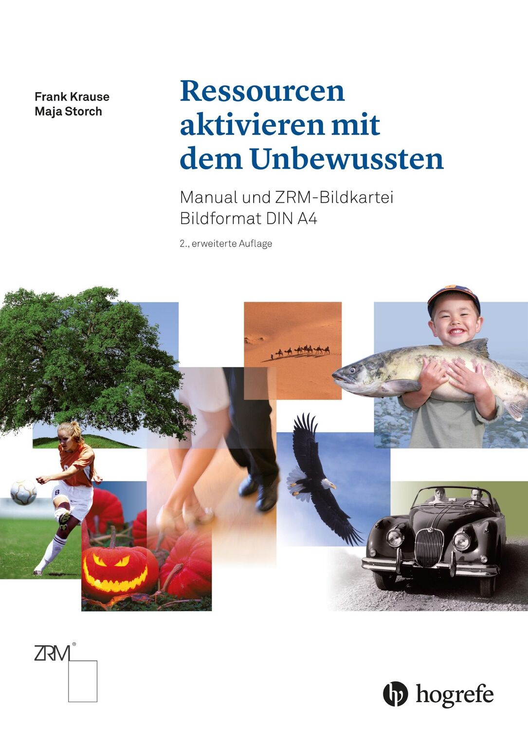 Cover: 9783456858630 | Ressourcen aktivieren mit dem Unbewussten | Frank Krause (u. a.)