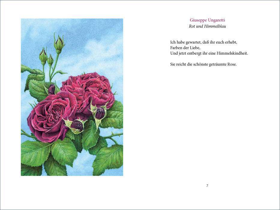 Bild: 9783458194286 | »Ich wollt' dein Bett mit einer Rose schmücken« | Ein Rosenbuch | Buch