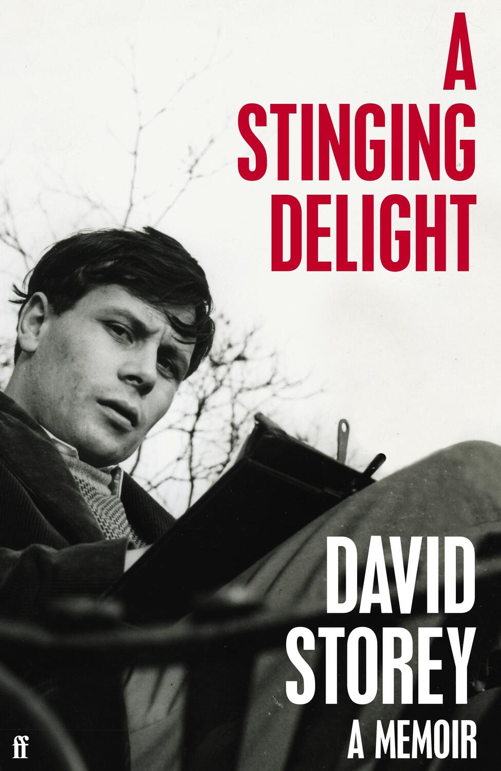 Cover: 9780571360314 | A Stinging Delight | A Memoir | David Storey | Buch | Gebunden | 2021