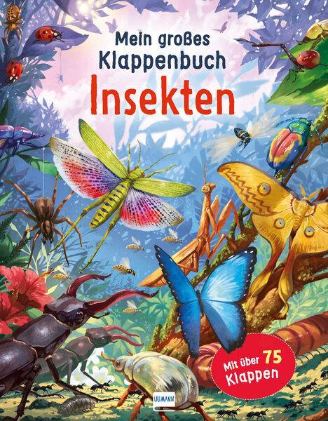 Cover: 9783741525391 | Mein großes Klappenbuch - Insekten | Rod Green | Buch | 16 S. | 2021