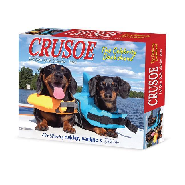 Cover: 9781549240768 | Crusoe the Celebrity Dachshund 2025 6.2 X 5.4 Box Calendar | Kalender