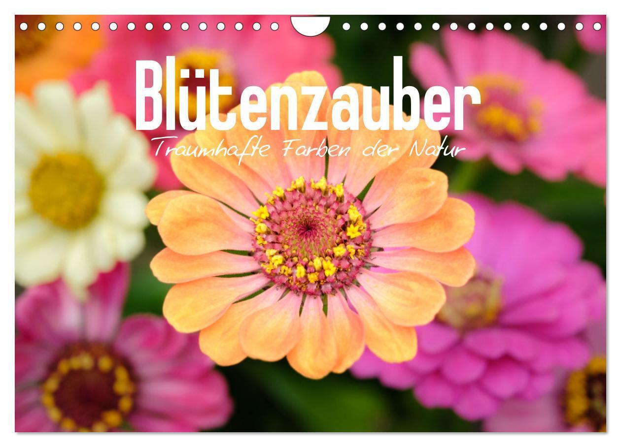 Cover: 9783675429017 | Blütenzauber - Traumhafte Farben der Natur (Wandkalender 2024 DIN...