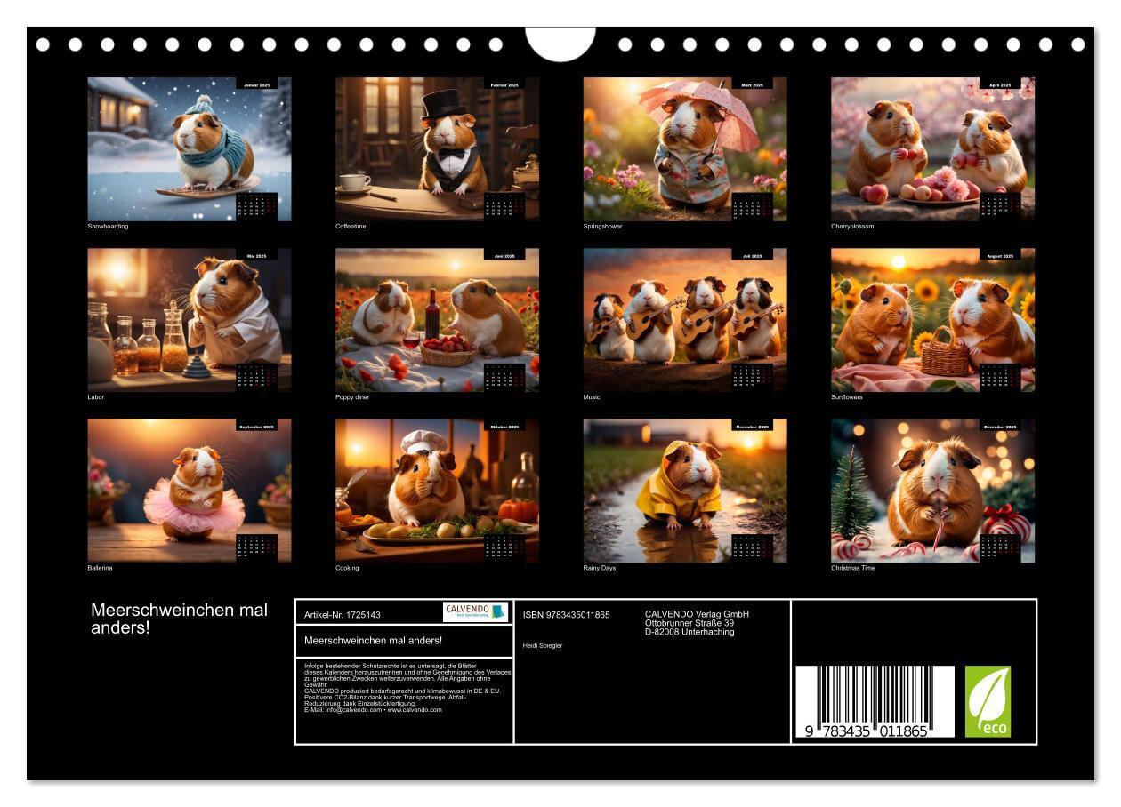 Bild: 9783435011865 | Meerschweinchen mal anders! (Wandkalender 2025 DIN A4 quer),...