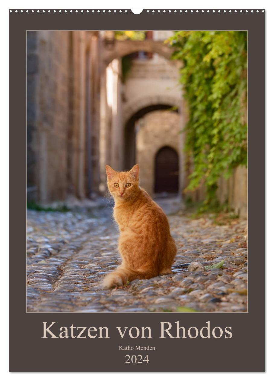 Cover: 9783675571495 | Katzen von Rhodos (Wandkalender 2024 DIN A2 hoch), CALVENDO...