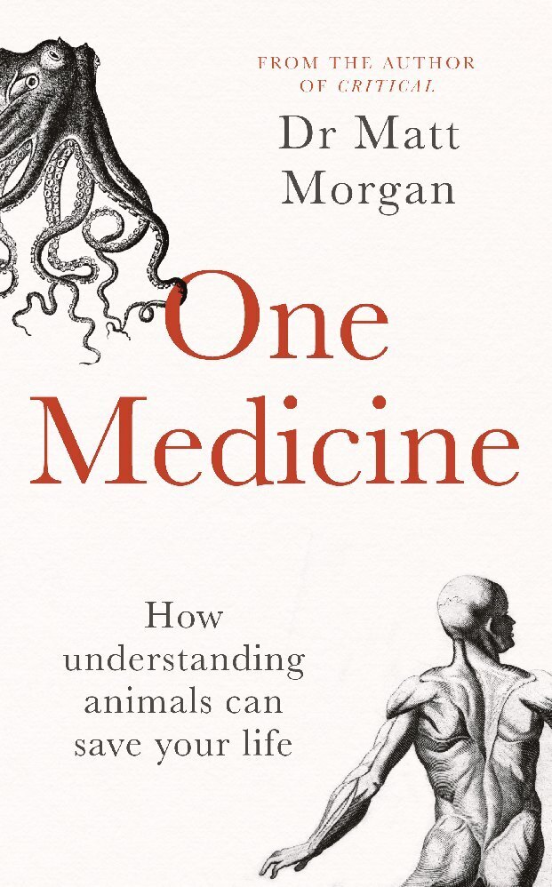 Cover: 9781471173080 | One Medicine | How understanding animals can save our lives | Morgan