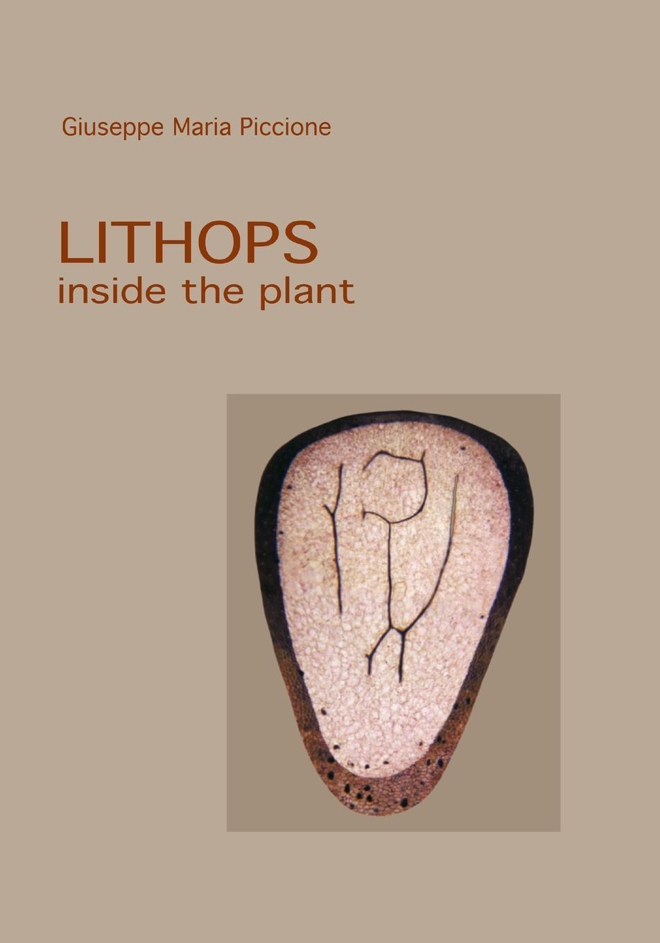 Cover: 9781471617683 | Lithops inside the plant | Taschenbuch | Paperback | Englisch | 2022