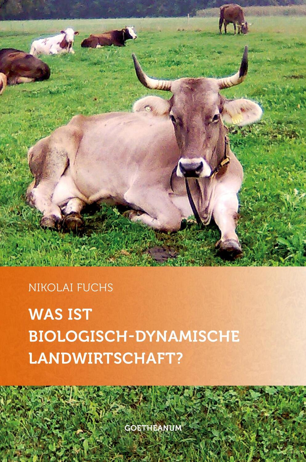 Cover: 9783723514993 | Was ist biologisch-dynamische Landwirtschaft? | Nikolai Fuchs | Buch