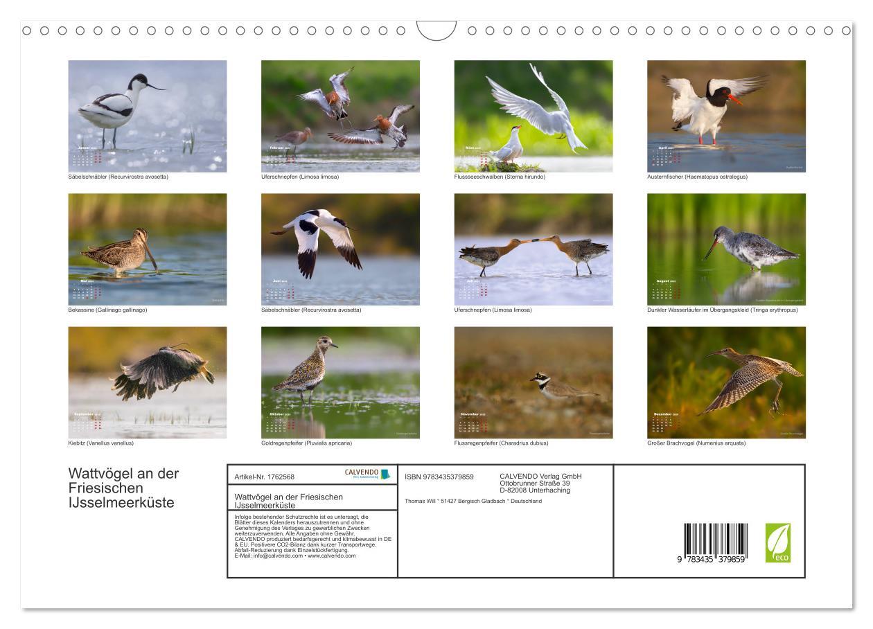 Bild: 9783435379859 | Wattvögel an der Friesischen IJsselmeerküste (Wandkalender 2025 DIN...