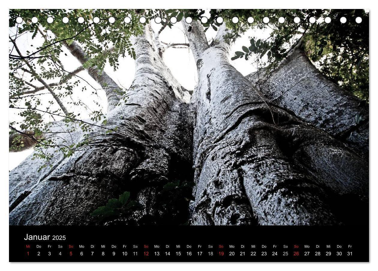 Bild: 9783435654864 | Malawi (Tischkalender 2025 DIN A5 quer), CALVENDO Monatskalender