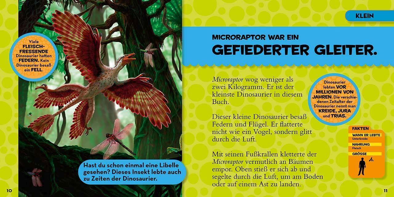 Bild: 9788854042452 | Mein großes Buch der Dinosaurier | National Geographic Kids | Hughes