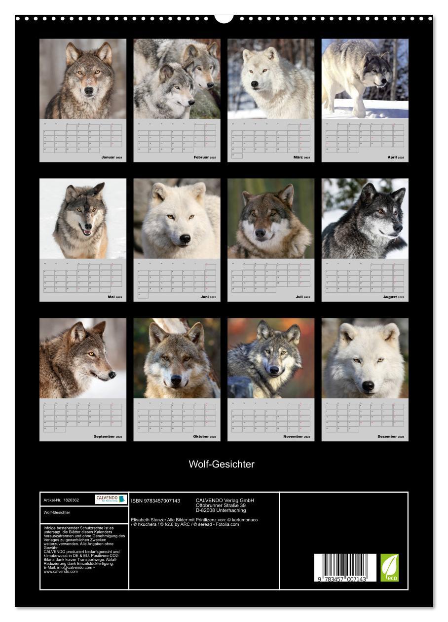 Bild: 9783457007143 | Wolf-Gesichter (hochwertiger Premium Wandkalender 2025 DIN A2...