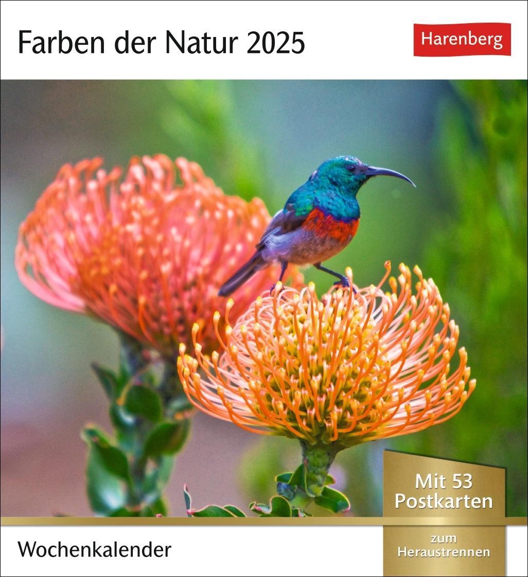 Cover: 9783840034268 | Farben der Natur Postkartenkalender 2025 - Wochenkalender mit 53...
