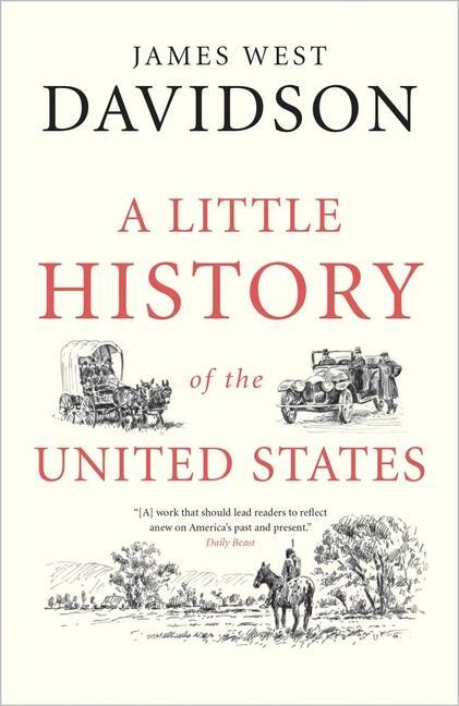Cover: 9780300223484 | A Little History of the United States | James West Davidson | Buch