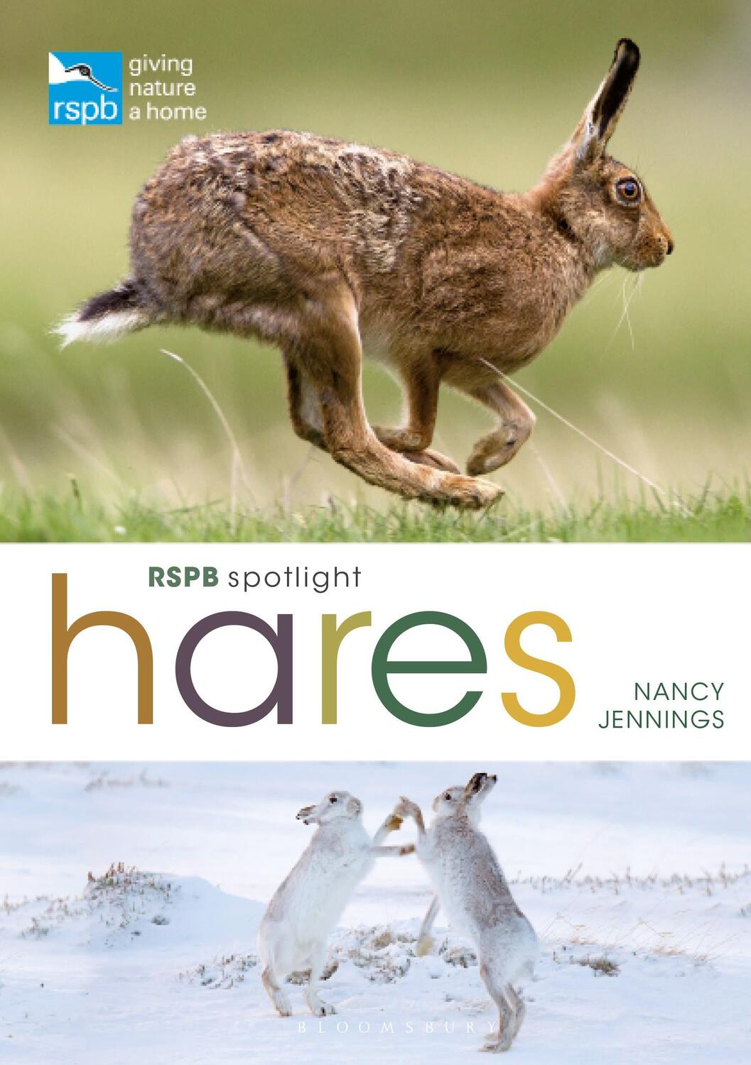 Cover: 9781399405041 | RSPB Spotlight Hares | Nancy Jennings | Taschenbuch | Englisch | 2022