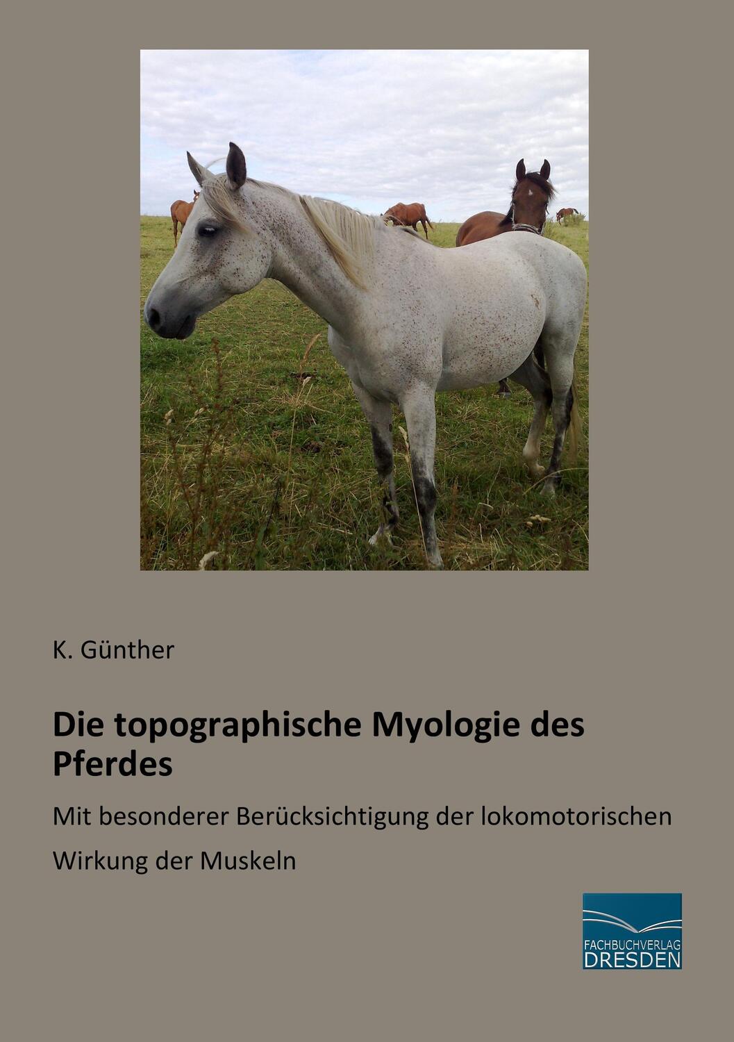 Cover: 9783956929960 | Die topographische Myologie des Pferdes | K. Günther | Taschenbuch