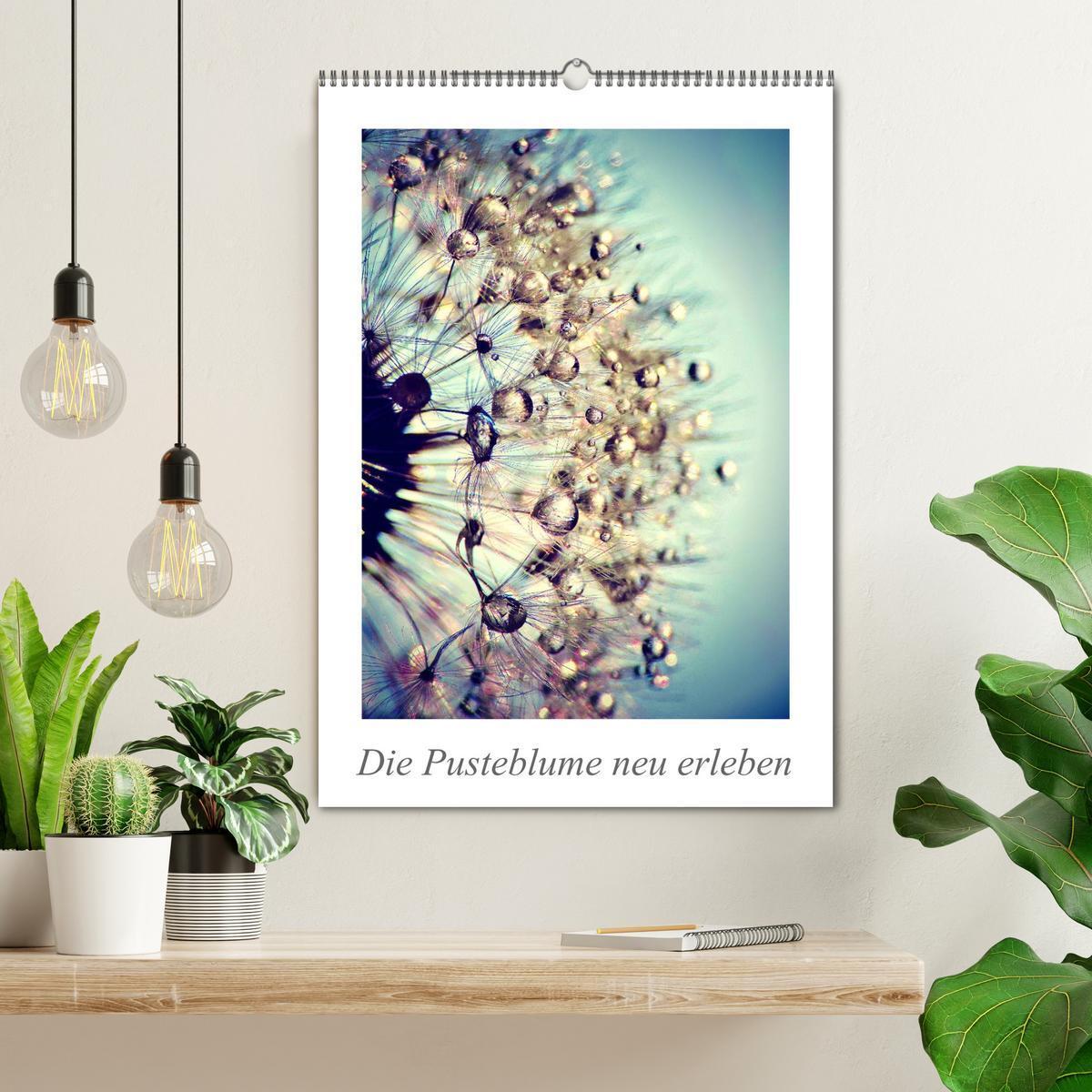 Bild: 9783457054253 | Die Pusteblume neu erleben (Wandkalender 2025 DIN A2 hoch),...