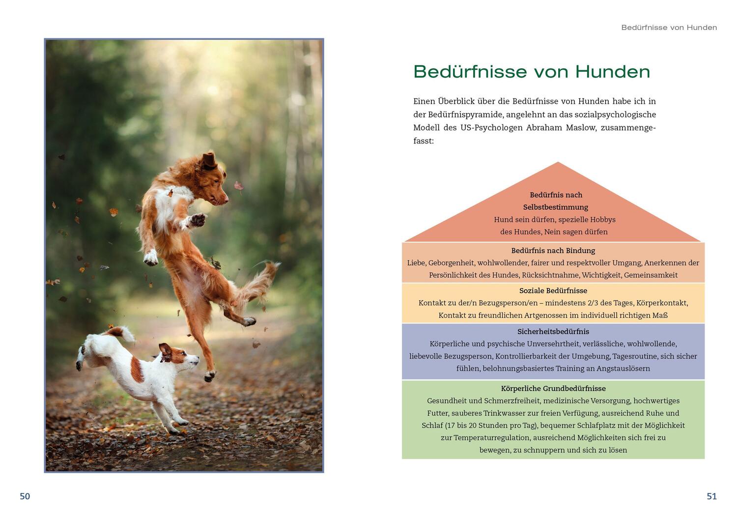 Bild: 9783936188783 | Hunde achtsam führen | Maria Rehberger | Buch | 184 S. | Deutsch