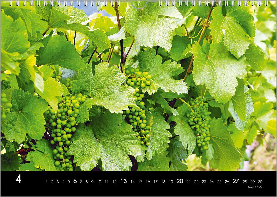 Bild: 9783969030981 | Der Weinkalender 2025, DIN A4 - ein Fotokalender | Peter Bach Jr.