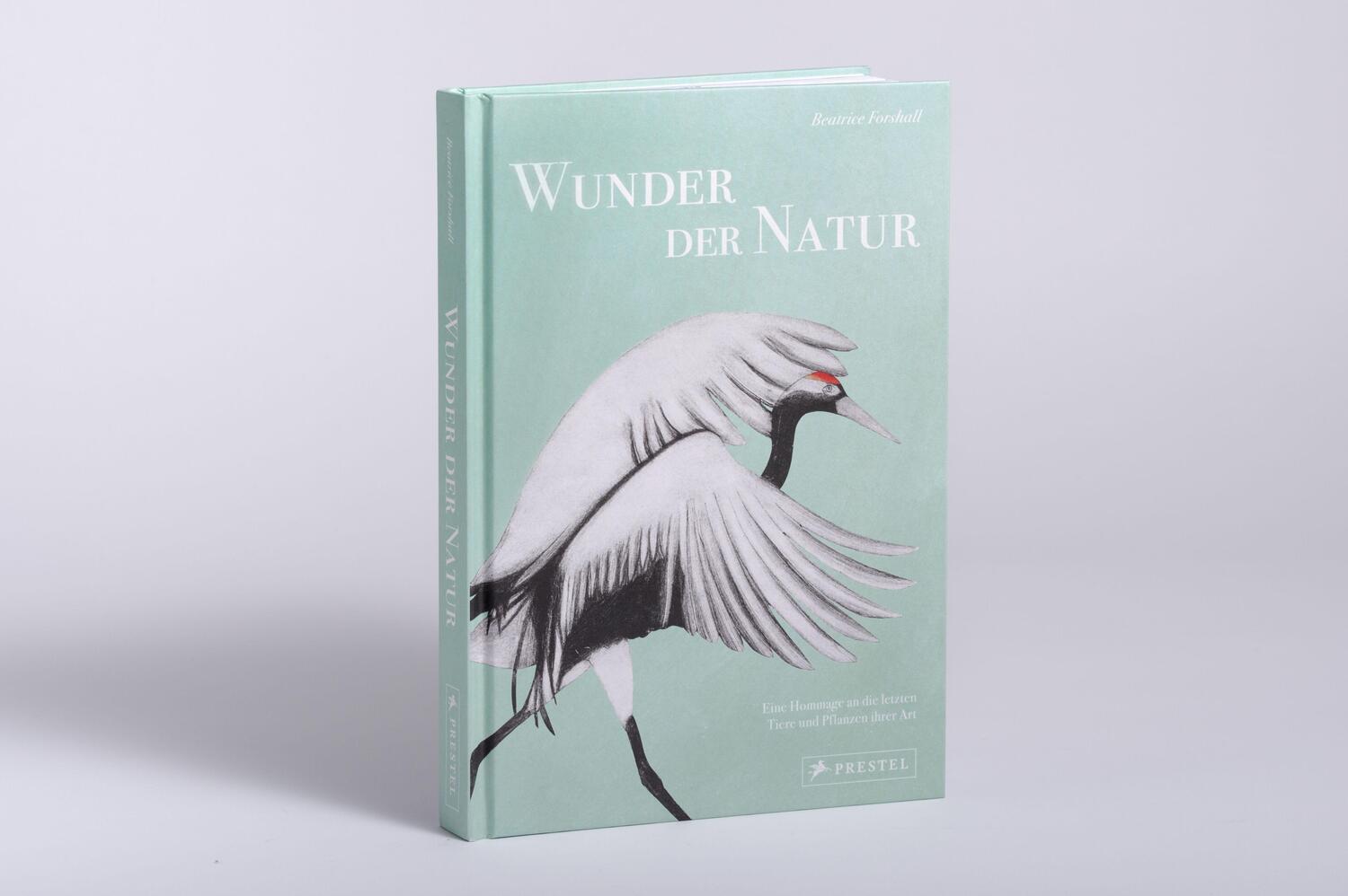 Bild: 9783791389462 | Wunder der Natur | Beatrice Forshall | Buch | 256 S. | Deutsch | 2023