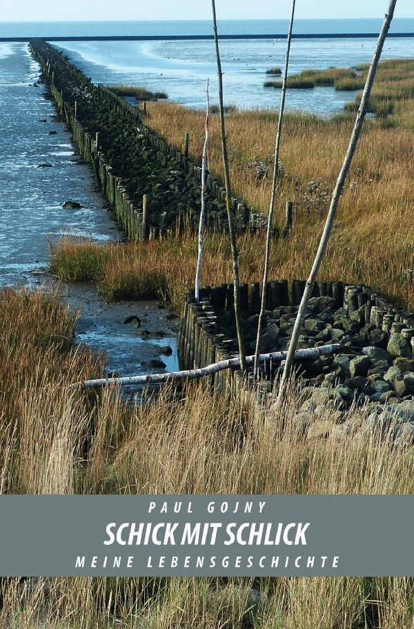 Cover: 9783750255067 | Schick mit Schlick - Meine Lebensgeschichte - Buch II | Paul Gojny