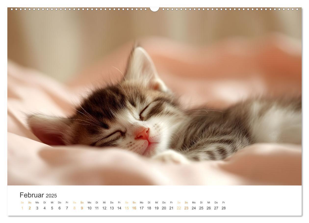 Bild: 9783457208052 | Zauberhafte Katzenbabys (hochwertiger Premium Wandkalender 2025 DIN...