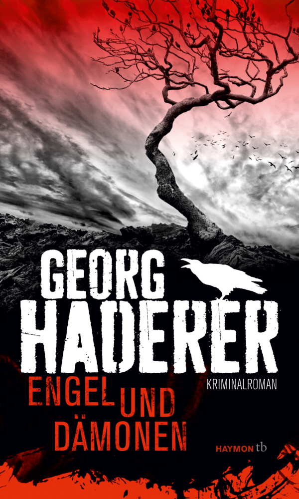 Cover: 9783852189703 | Engel und Dämonen | Kriminalroman | Georg Haderer | Taschenbuch | 2014