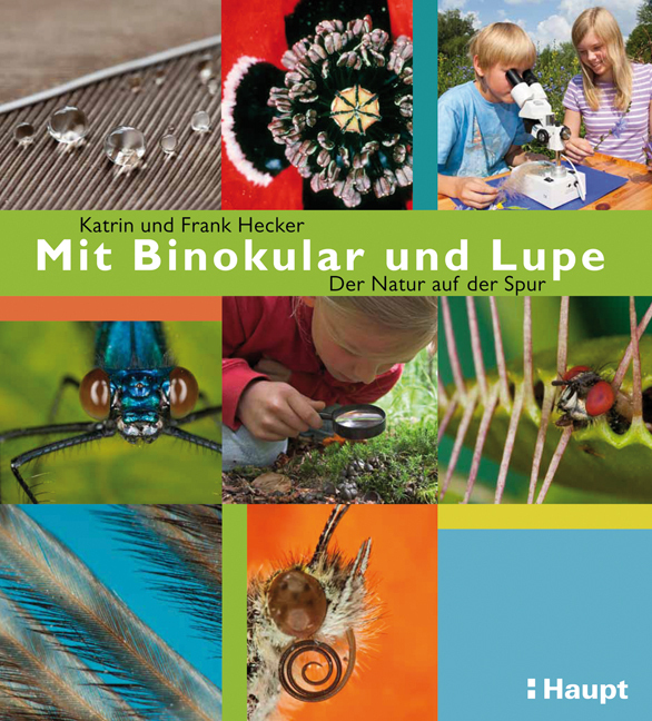Cover: 9783258077246 | Mit Binokular und Lupe | Der Natur auf der Spur | Frank Hecker (u. a.)